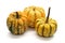 Decorative Squashes, diverse assortment cucurbitaceous, pumpkins on white background