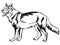 Decorative standing portrait of Czechoslovakian Wolfdog vector i