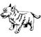 Decorative standing portrait of dog Norwich terrier vector illus
