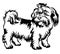 Decorative standing portrait of dog shih-tzu, vector