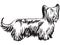 Decorative standing portrait of Skye Terrier vector illustration