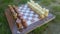 Decorative stone chess set on the grass.