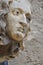 Decorative stone head carving on wall of Bodleian library courtyard, Oxford, United Kingdom