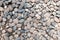 Decorative stone pebble background. round gravel texture garden