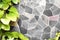 Decorative stone on wall with green plant climber background and space