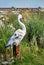 Decorative stork in the grass