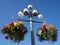 Decorative street lights with flower baskets Victoria Canada British Columbia