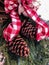 Decorative swag with red bow and pine cones