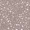 Decorative terrazzo flat vector seamless pattern. Small scattered particles decorative texture. Chaotic stone fragments