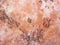 decorative texture faux artificial marble abstract pink skin tone pattern