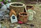 Decorative tiny house with flowerpots with seedlings and working took outside in the garden