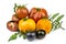 Decorative tomatoes of orange, red and purple color with green l