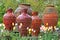 Decorative traditional Romanian urns in a tulip garden