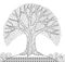 Decorative tree. Adult antistress coloring page. Black and white hand drawn doodle for coloring book