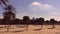 Decorative trees in circle shape on empty sandy beach front hotel on seashore