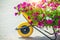 Decorative trolley with summer bright colors