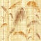 Decorative tropical botanical leaves - Interior wallpaper - papyrus texture