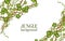 Decorative tropical jungle lianas vine banner the vector illustration isolated.