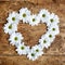 Decorative Valentine heart of white spring daisies