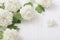 Decorative viburnum on wooden background