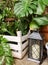 Decorative vintage lantern with candles idea decoration for a garden with plants, large leaves of monstera and alocasia