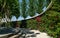 Decorative walls with blooming Bougainvillea plants with beautiful red pink flowers in City park Krasnodar or Galitsky Park