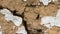 Decorative walls of the hut. A wall of ruins, an ancient wall of clay, straw and brick. Decorative walls of the hut