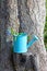 Decorative watering can with me-nots