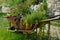 Decorative wheelbarrow planted with flowers and plants