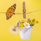Decorative white miniature bucket hanging on rope. It contains bouquet of summer wildflowers: chamomile, buttercup, dandelion. Als