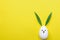 Decorative White Painted Easter Egg Bunny with Drawn Cute Kawaii Face. Green Leaves as Ears. Pastel Yellow Background. Spring