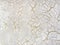 Decorative white plaster with aging effect. Ivory background with golden cracked paint
