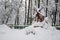 Decorative windmill and gnome covered with fresh snow in winter park