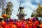 Decorative windmill in Keukenhof park. Tourists walking in blossom colorful tulip field