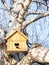 The decorative wood birdhouse. Nesting box hanging on the tree on a birch in early spring