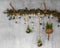 Decorative Wooden Branch with fir branches and hanging blue christmas baubles, silver lights like snowflakes, fern and air plant,