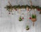 Decorative Wooden Branch with fir branches and hanging red christmas baubles, silver lights like snowflakes, fern and air plant,