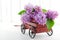 Decorative wooden carriage full of lilacs