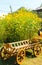 Decorative wooden cart near sunflowers