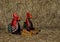 Decorative wooden chickens
