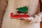 Decorative wooden Christmas sled with a Christmas tree in the hands of a young woman