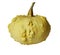 Decorative yellow pumpkin with warts. Isolated on a white background