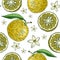 Decorative yuzu background. Sketched fruit, leaves, and flowers texture in engraving style. Hand-drawn citrus plant seamless
