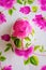 Decoupage Easter egg, Decorated with flowered paper napkins above view