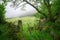 Decrepit fence of wire and stone wall in a mountain pasture meadow