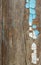 Decrepit Old Wood Background