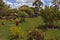DEDZA, MALAWI, AFRICA - MARCH 25, 2018: Bright scenery of Dedza Pottery yard. Malawian landscapes, fields with green grass and