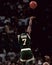 Dee Brown, Boston Celtics