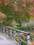 Deep autumn colours, photographed in Robinson Garden at RHS Hyde Hall garden near Chelmsford, Essex, UK.