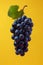 Deep Blue Grapes with Leaf AI Generated
